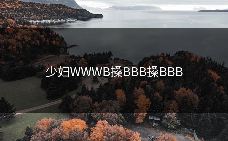 少妇WWWB搡BBB搡BBB