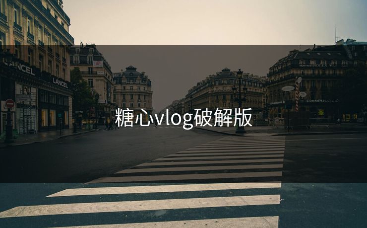 糖心vlog破解版 糖心vlog破解版