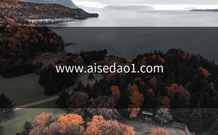 www.aisedao1.com