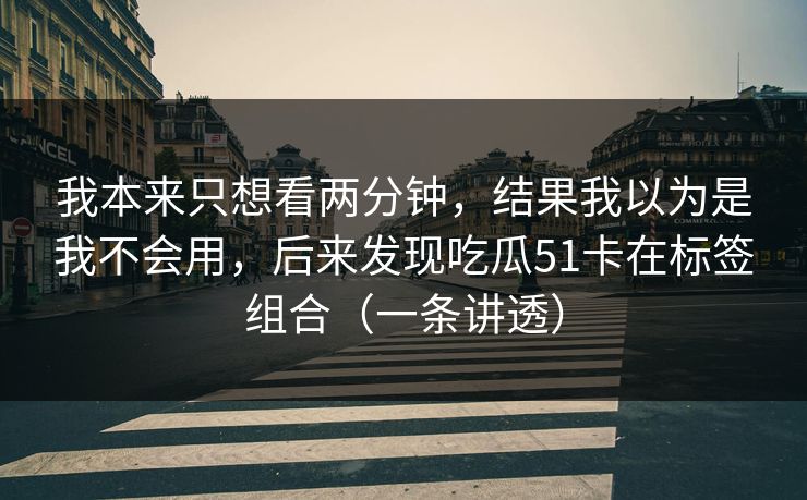 我本来只想看两分钟，结果我以为是我不会用，后来发现吃瓜51卡在标签组合（一条讲透）